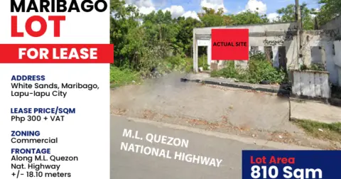 commercial-lot-for-rent-in-maribago-lapu-lapu-city-cebu-prime-highway-frontage-810-sqm-for-rent