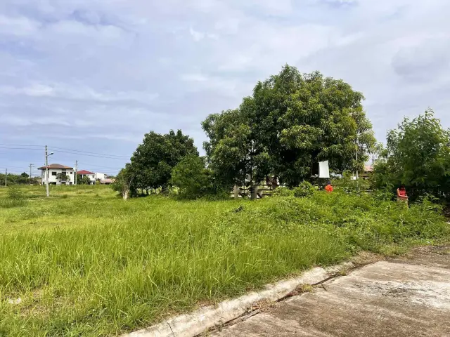 Lot For Sale, Ajoya Subdivition, By Aboitizland, Cordova - Secondary Image
