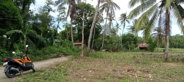 Residential Lot - Secondary Image