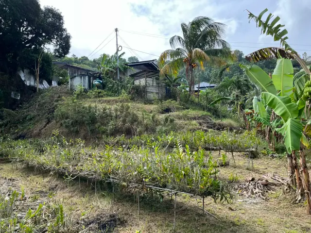 Agricultural Lot - Secondary Image