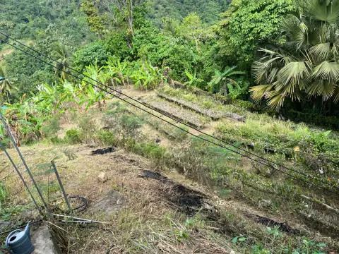 agricultural-lot-for-rent