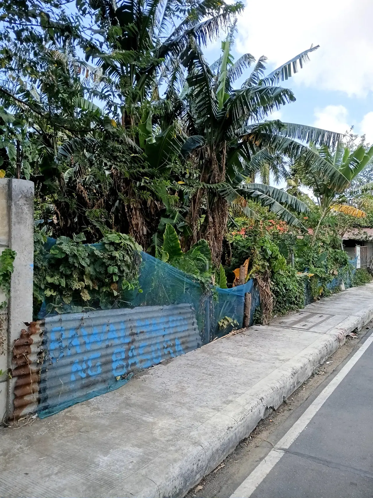 Property Prime View