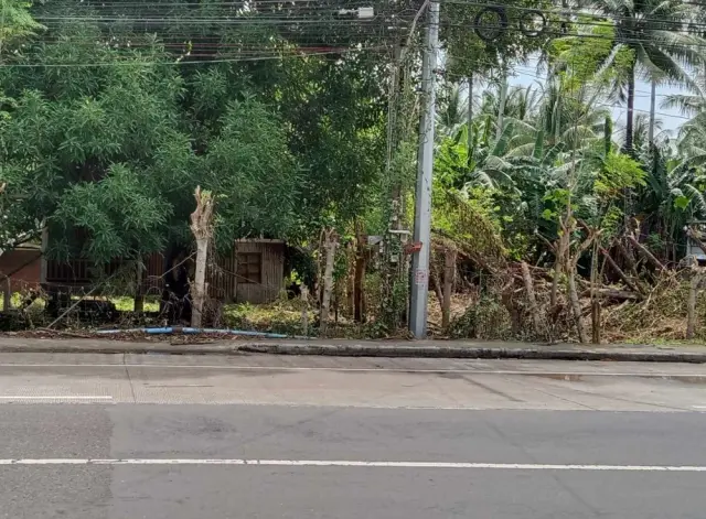 Commercial Lot For Rent/For Storage/Bodega - Secondary Image