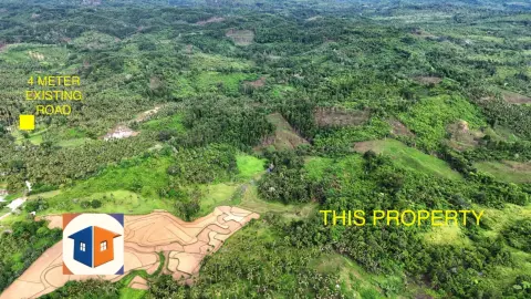 6-hectare-land-offers-2000-sqm-per-lot-for-rent