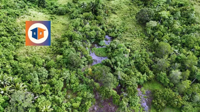 6-Hectare Land offers 2,000 sqm per Lot - Secondary Image