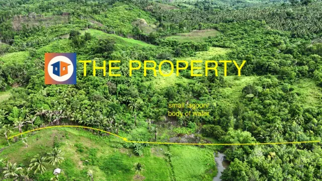 6-Hectare Land offers 2,000 sqm per Lot - Secondary Image