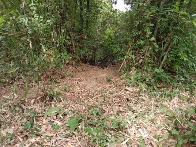 Lot for lease and build your home - Secondary Image