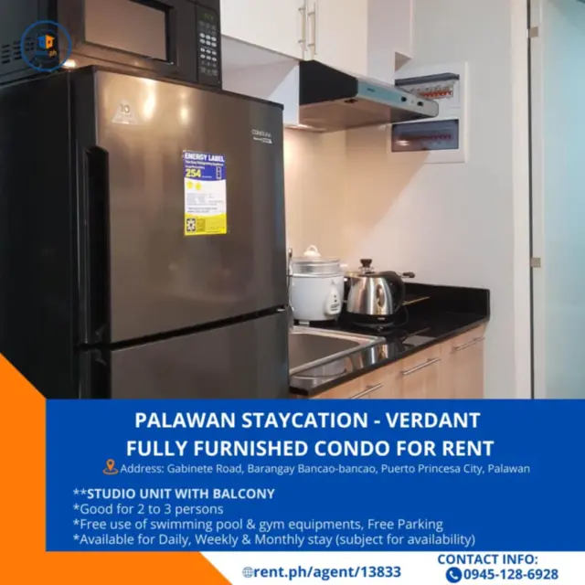 FULLY FURNISHED STUDIO CONDOMINIUM UNIT IN PUERTO PRINCESA CITY, PALAWAN - VERDANT BY VISTA MANORS - Secondary Image