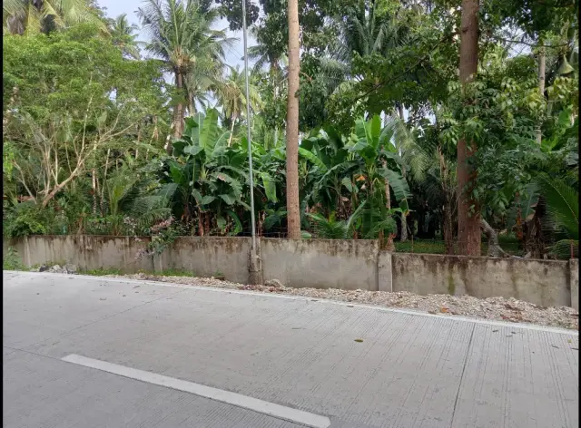BEACH LOT FOR SALE POBLACION SANTANDER - Secondary Image