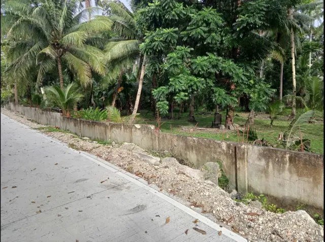 BEACH LOT FOR SALE POBLACION SANTANDER - Secondary Image