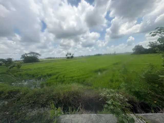 LOT for Lease @ C1 Road San Vicente LEGANES ILOILO - Secondary Image