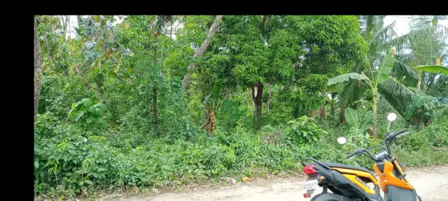 Lot only for Rent - Secondary Image