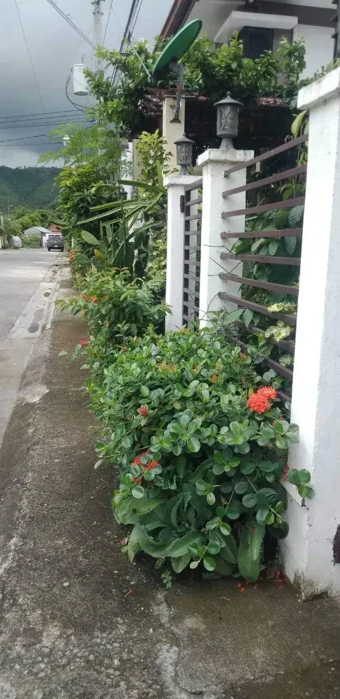 FOR RENT FULLY FURNISHED GATED HOUSE IN MINGLANILLA - Secondary Image