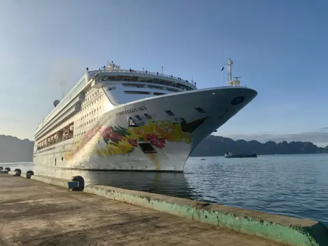 Discover Breathtaking Marine Wonders In Coron Palawan