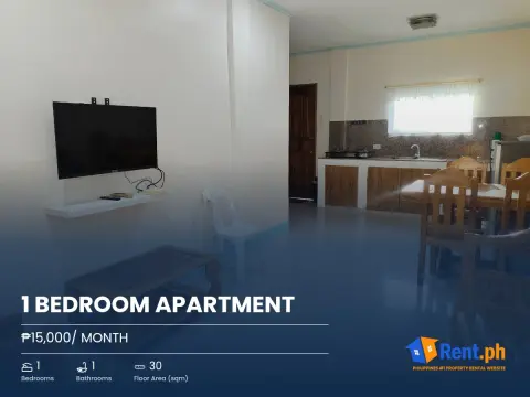 1-bedroom-apartment-for-rent
