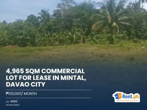 4965-sqm-commercial-lot-for-lease-in-mintal-davao-city-for-rent
