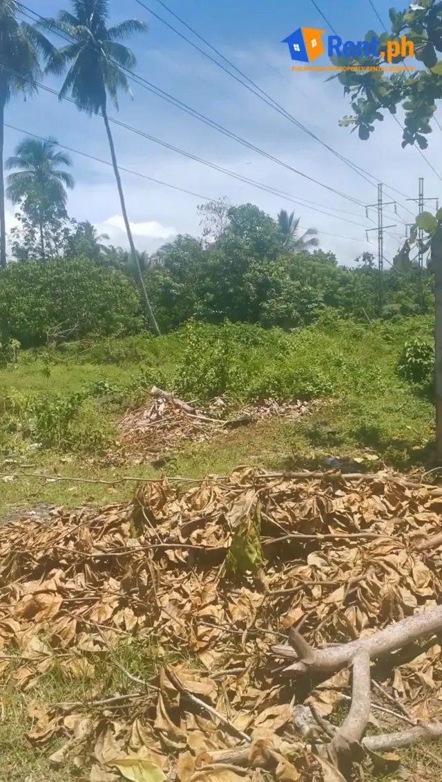 4,965 sqm Commercial Lot For Lease in Mintal, Davao City - Secondary Image