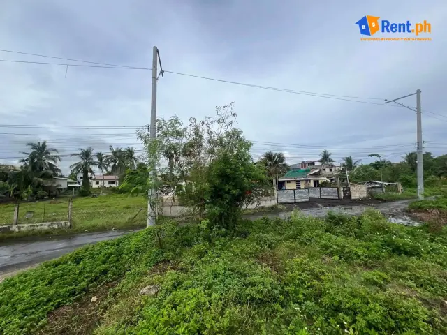 LOT FOR RENT AND FOR SALE – TAYUD, LILOAN, CEBU - Secondary Image