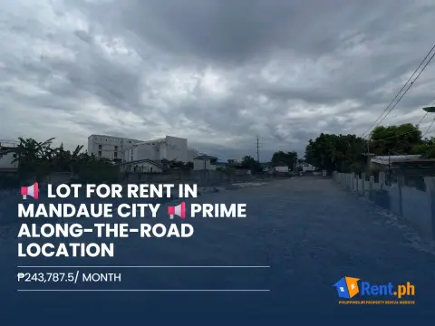 lot-for-rent-in-mandaue-city-prime-along-the-road-location-for-rent