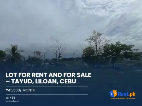 lot-for-rent-and-for-sale-tayud-liloan-cebu-11448-for-rent