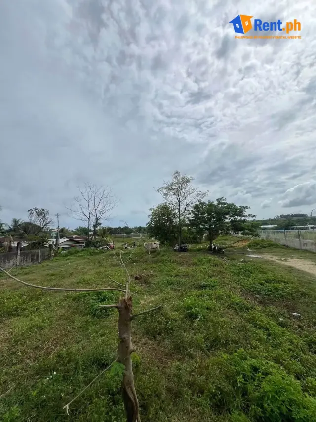 LOT FOR RENT AND FOR SALE – TAYUD, LILOAN, CEBU - Secondary Image