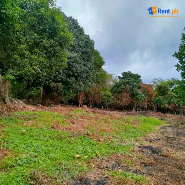 2062sqm Lot For Rent in Villa Libertad El Nido Palawan - Secondary Image