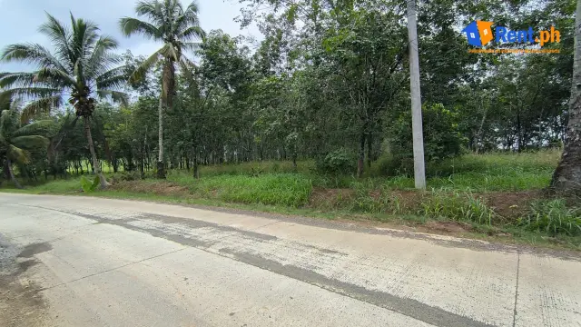 Expansive 2000 Sqm Farm Land For Rent in Kibawe, Bukidnon - Secondary Image