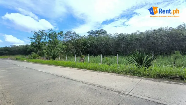 Expansive 2000 Sqm Farm Land For Rent in Kibawe, Bukidnon - Secondary Image