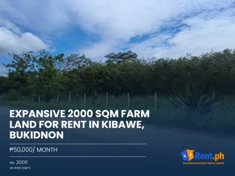 expansive-2000-sqm-farm-land-for-rent-in-kibawe-bukidnon-for-rent