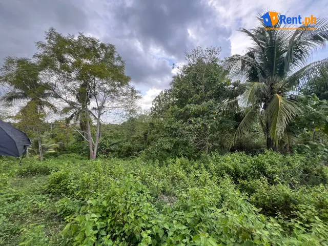 20K ONLY! BUNDLED LOT FOR RENT LOCATED IN EL SALVADOR CITY FOR CHARCOAL BUSINESS AND MORE - Secondary Image