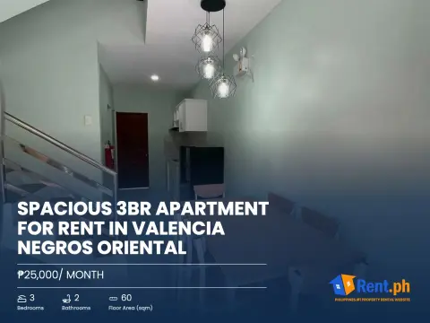 spacious-3br-apartment-for-rent-in-valencia-negros-oriental-for-rent