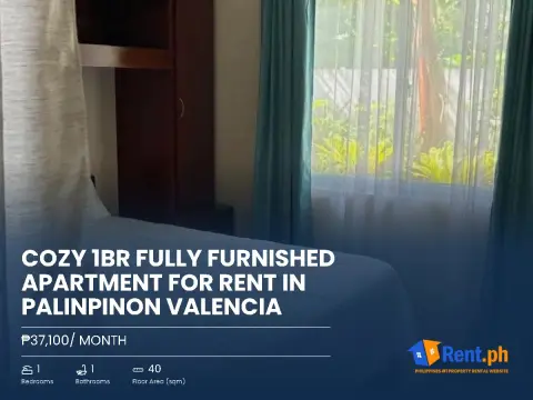 cozy-1br-fully-furnished-apartment-for-rent-in-palinpinon-valencia-for-rent