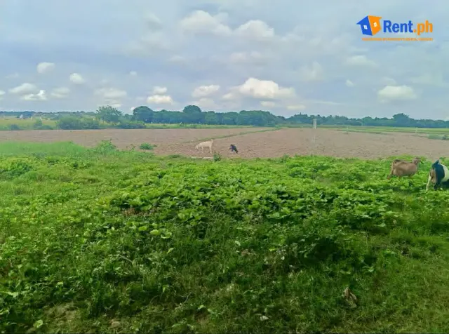 Commercial / Agricultural Land for Long-Term Lease - Secondary Image