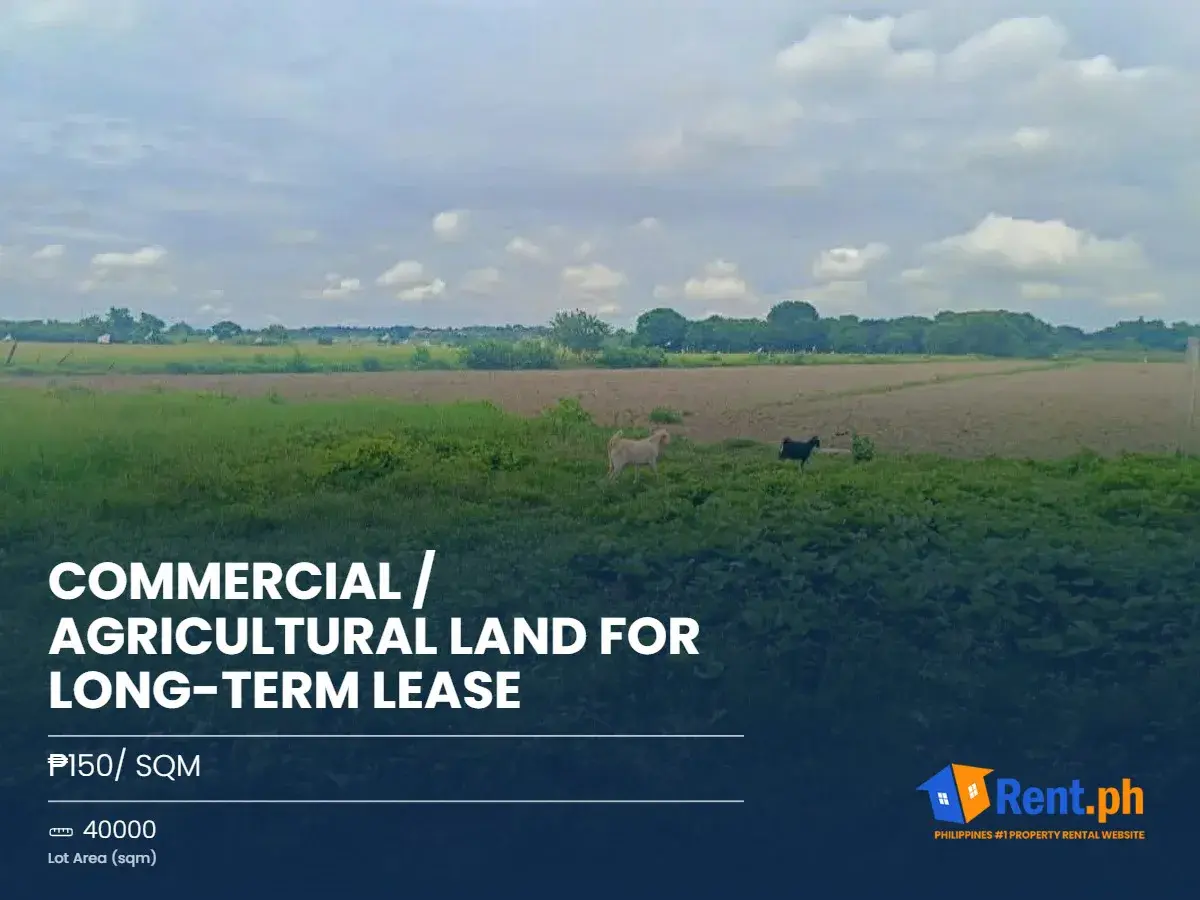 Property Prime View