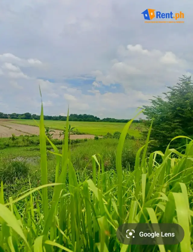 Commercial / Agricultural Land for Long-Term Lease - Secondary Image