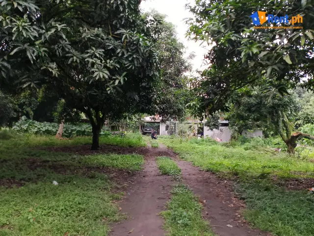 Agricultural Farm Land For Rent in Polomolok near Klinan 6 - Secondary Image