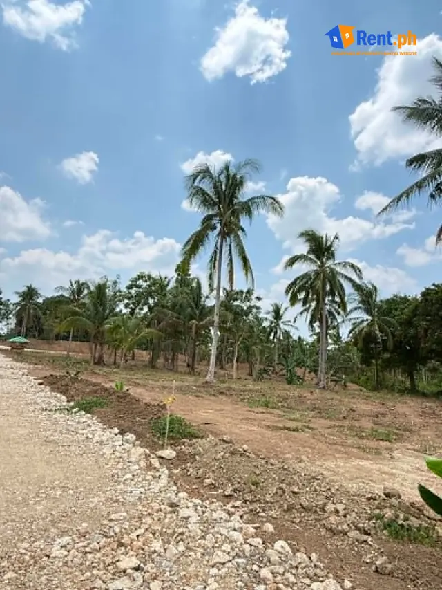 500-1000 SQM and Up Titled Resi-Farm Lot for Sale in Indang Cavite - Secondary Image