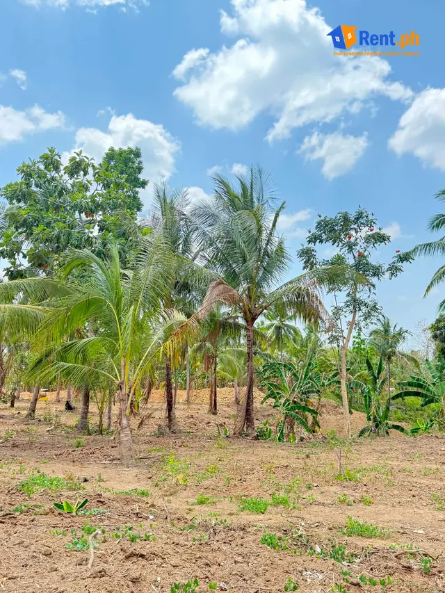 500-1000 SQM and Up Titled Resi-Farm Lot for Sale in Indang Cavite - Secondary Image