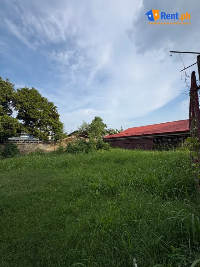 Prime 506sqm Commercial Lot For Rent in Dawis Talisay Cebu - Secondary Image