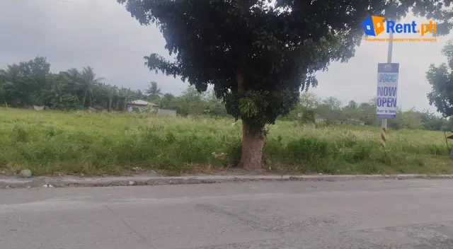 Commercial Lot along prime location of Brgy. Mabuhay, Genera - Secondary Image