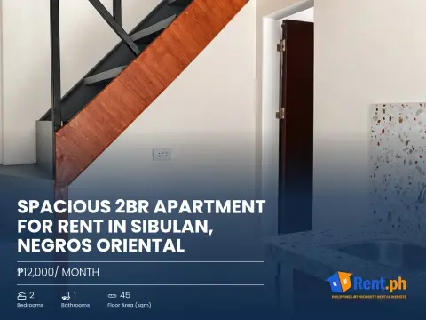 Spacious 2BR Apartment For Rent in Sibulan, Negros Oriental