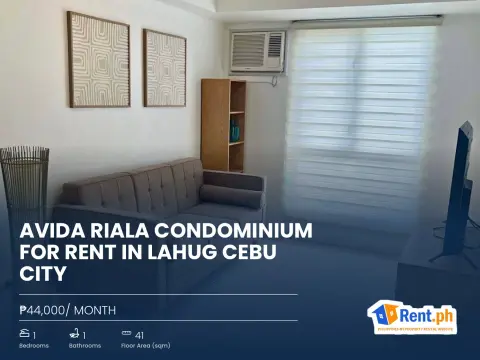 avida-riala-condominium-for-rent-in-lahug-cebu-city-for-rent