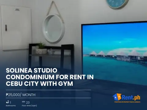 Solinea Studio Condominium For Rent in Cebu City with Gym