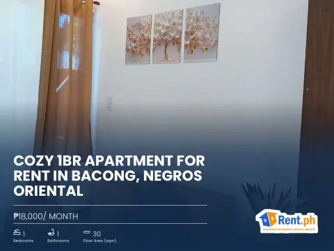 Cozy 1BR Apartment For Rent in Bacong, Negros Oriental