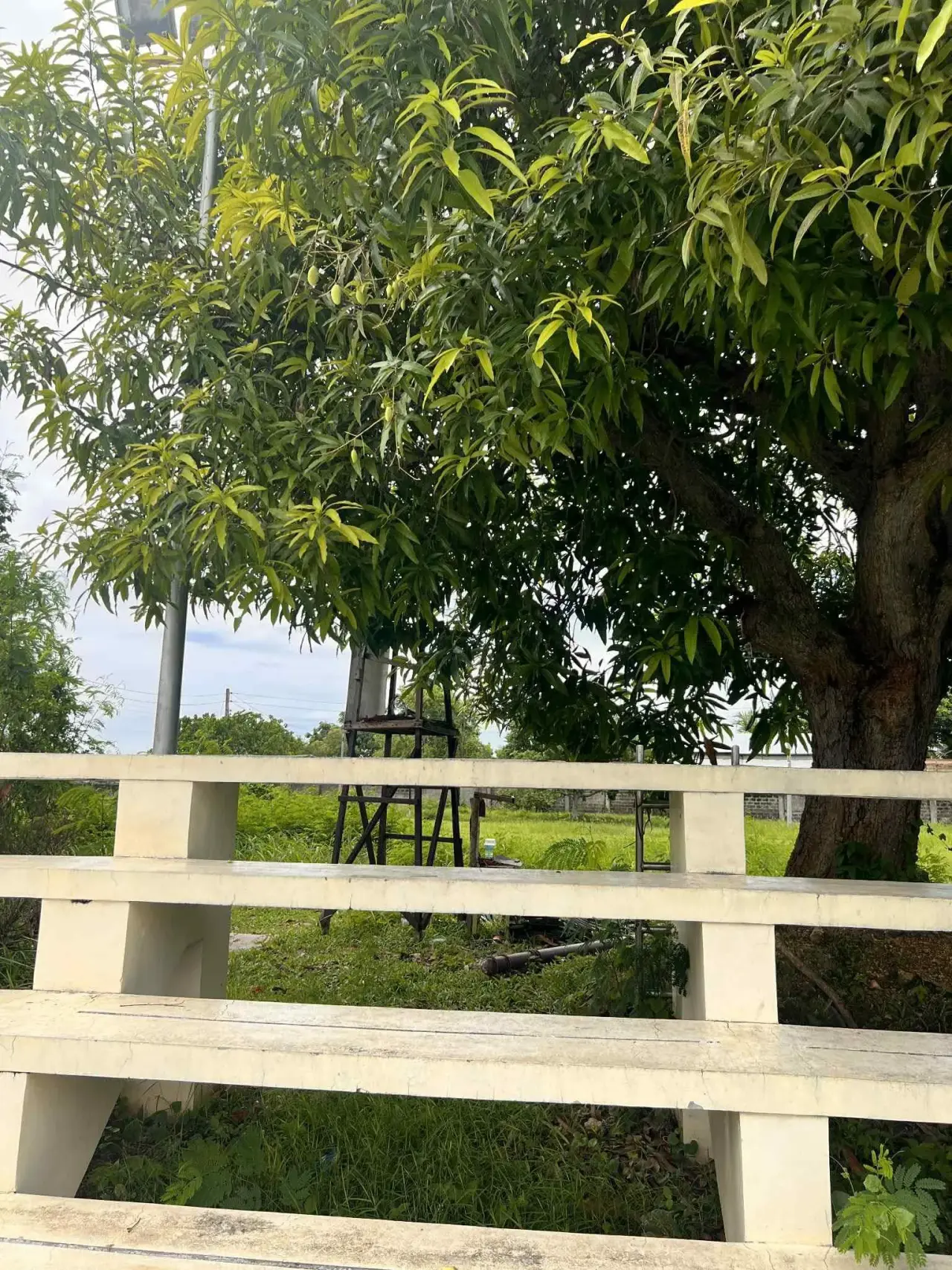 Property Prime View