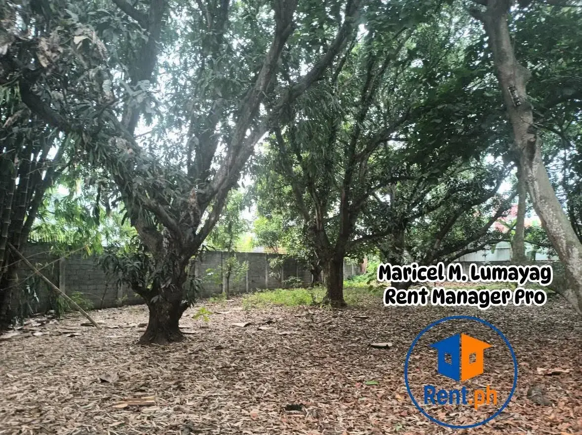 Property Prime View