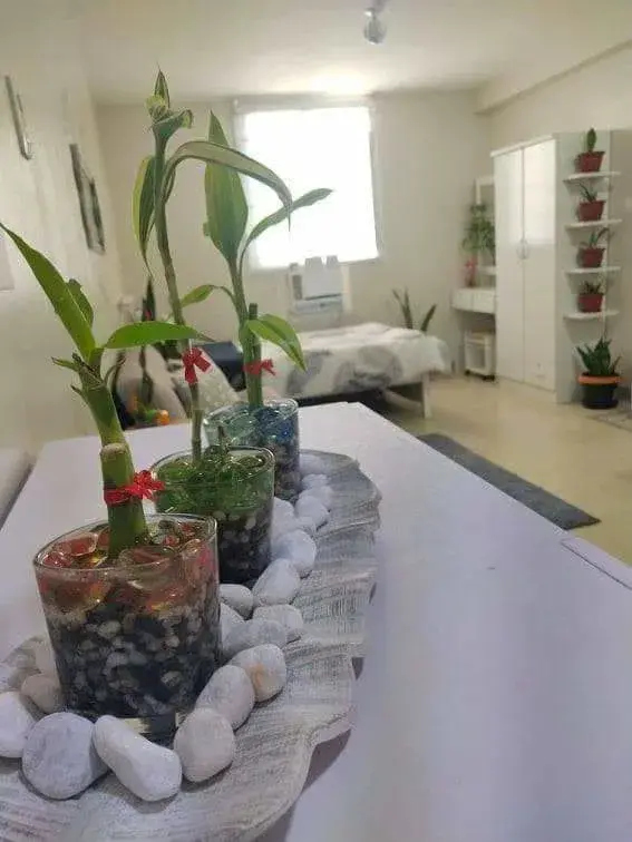 Property Prime View