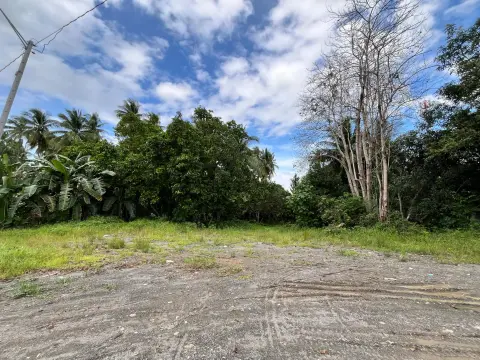 lot-only-for-lease-katangawan-for-rent