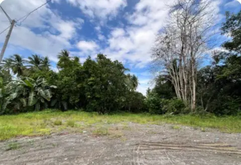 katangawan-lot-only-for-lease-for-rent