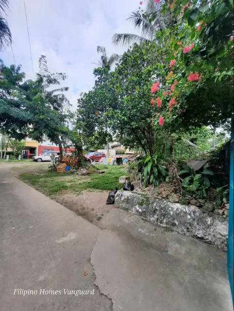commercial-lot-for-rent-3-for-rent